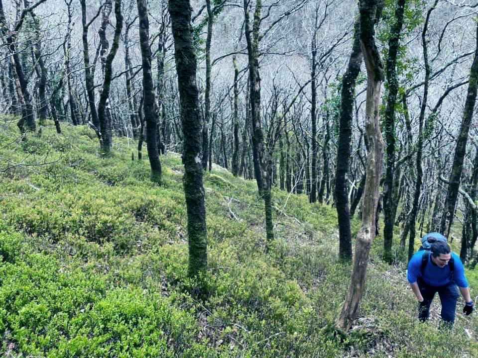 Chris Berry in the forest
